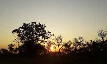 Imagem 2: Terrenos 20.000m² Financiados em Cordisburgo Perto de Araçai