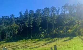 Imagem 5: Viva em contato com a natureza: Terrenos de chácara em localização privilegiada!