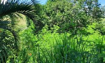 Imagem 2: Oportunidade terreno em Divinópolis