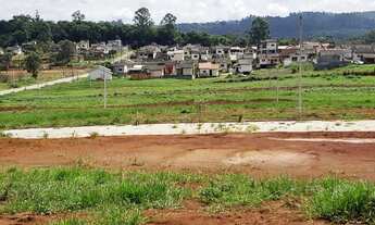 Imagem 2: CRICIÚMA - Terreno Padrão - SAO DEFENDE