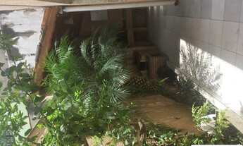 Imagem 2: SÃO PAULO - Casa Padrão - JARDIM BRASÍLIA (ZONA LESTE