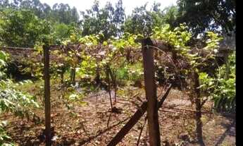 Imagem 6: Chácara em capanema para vender logo