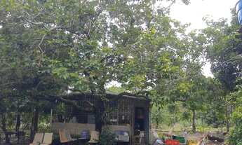 Imagem 5: Chácara no lago serra da mesa