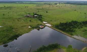 Imagem 6: Fazenda em Santa Rita. 100 mil por alqueire