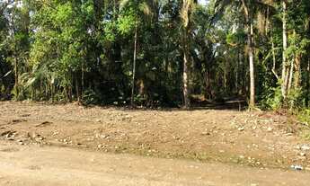 Imagem: Fazenda/Sítio/Chácara para venda tem 2873