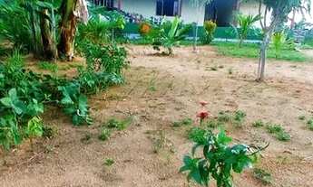 Imagem: Sitio em Ariquemes-RO