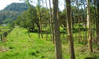 Imagem 6: CAPELA DE SANTANA - Terreno Padrão - Imigrantes