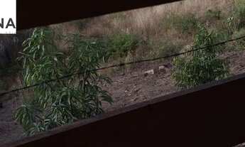 Imagem 5: LOCAÇÃO ANUAL no Village Santana