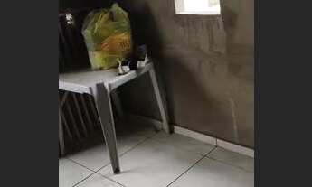 Imagem 4: Imóvel a venda Casa com 2 dormitórios