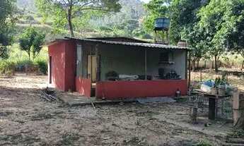 Imagem 2: Chácara com casa e pomar produzindo