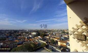 Imagem 2: Apto - Pauliceia