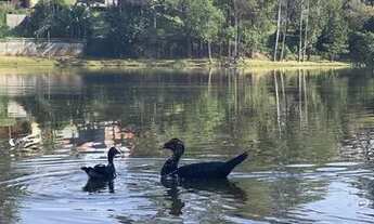 Imagem 2: Lote em condomínio alto padrão