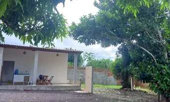 Imagem 4: Sítio no povoado Ariticum Itaporanga d'Ajuda de 1700m²