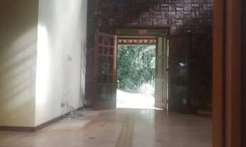 Imagem: A mais bela Violeta