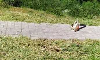 Imagem 3: Oportunidade ! Vendo terreno no loteamento ECOVILLE I