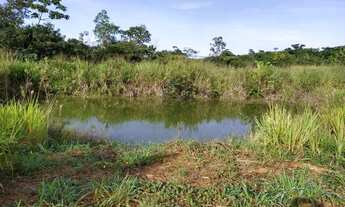 Imagem 5: Vende- chácara Chácara com venda por R$80.000