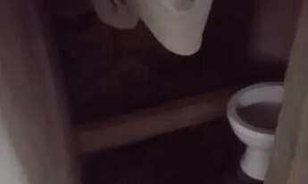 Imagem 6: Casa pra alugar Casa com 1 dormitório