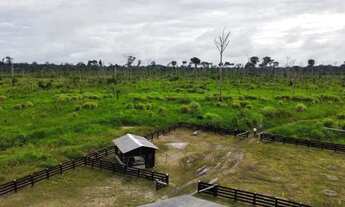 Imagem 6: Fazenda na região sul de Roraima (11.000 hectares) para Venda