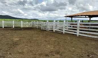 Imagem 4: Fazenda em Manga - Minas Gerais, à venda com 2.320ha - Para pecuária