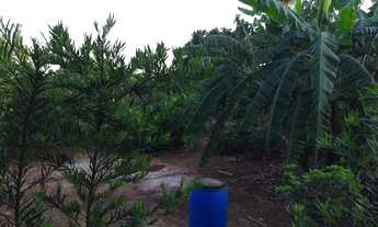 Imagem 5: Chácara no Condomínio Estância Arco-íris