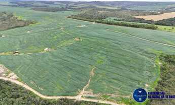 Imagem 5: Fazenda à Venda em Abadiânia - GO