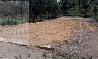 Imagem 2: Lote para Venda em Japaratinga, Centro