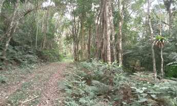Imagem 2: Terrenao 4 mil mts com ribeirao 4 km da BR estudo auto