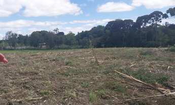 Imagem 4: Locação de área para plantio