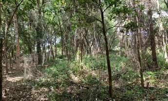 Imagem 6: Chácara 2.250m² em condomínio, chalé, fogão a lenha, córrego nos fundos e cisterna