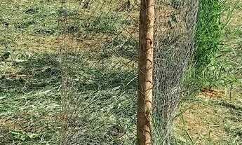 Imagem: Vende terreno 1000 mts Ibiuna-sp