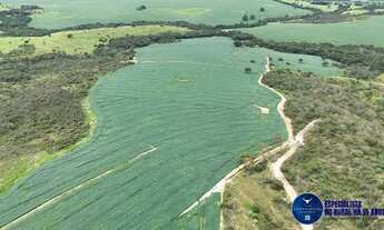Imagem 7: Fazenda à Venda em Abadiânia - GO