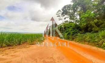 Imagem: FAZENDA - MARECHAL CANDIDO RONDON - PR
