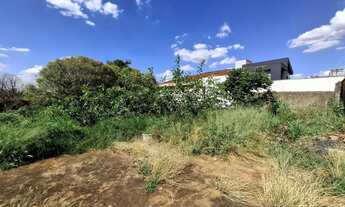 Imagem 4: Terreno de 385m² para venda e locação - Ribeirânia