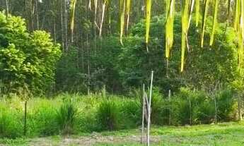 Imagem 3: OPORTUNIDADE!!! LOTES GRANDES, PREÇOS ESPECIAIS