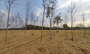 Imagem 3: Chácara para venda, com 55.875m² próximo ao Campus da UFG - Goiânia - GO