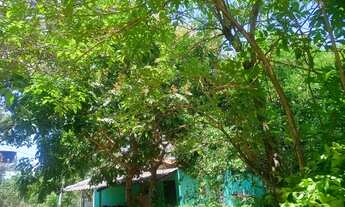 Imagem 5: Chácara para lazer no professor Jamil 2.860mt com Rio no fundo