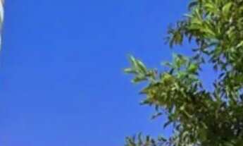 Imagem 7: Apartamento 3 Quartos no Praça Sudoeste - Vila Lucy