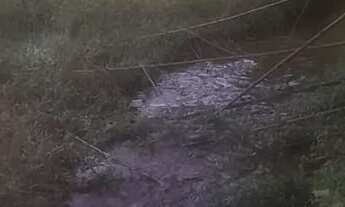 Imagem: Chacaras rurais em azurita