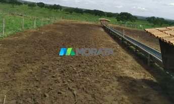 Imagem: FAZENDA À VENDA - 113 HECTARES - MORRO