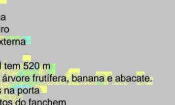 Imagem 5: Vendo casa queimados
