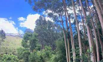 Imagem 4: VENDO / TROCO - Lindo Sítio em Natividade da Serra - SP