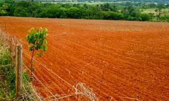 Imagem: Fazenda com 116 ha a venda proximo a Iporá