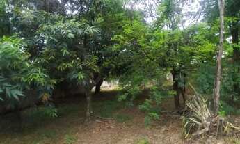 Imagem 7: Terreno 1.500 m² Todo Murado Bairro Estâncias Imperiais Ótimo para Investir