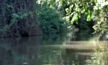 Imagem 3: Parte de uma chácara whatsapp