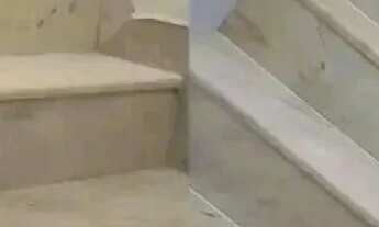 Imagem 5: Obsfique atento aos detalhes