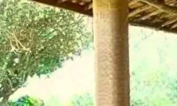 Imagem 6: Refúgio Rústico com Vista para a Pedra do Baú Viva o Novo Capítulo da Sua Paz