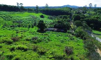 Imagem 4: 2 terrenos á venda com 100.000m² e acesso a represa em Taiaçupeba