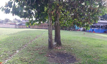 Imagem 6: Vendemos um terreno com 10.000m2 a 200m da Rodovia Mário Covas