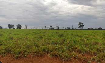 Imagem 2: Fazenda de 265 Alqueires vale do Araguaia Marianopolis TO