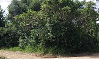 Imagem 5: Esquina na Praia da Pipa - ótimo preço!